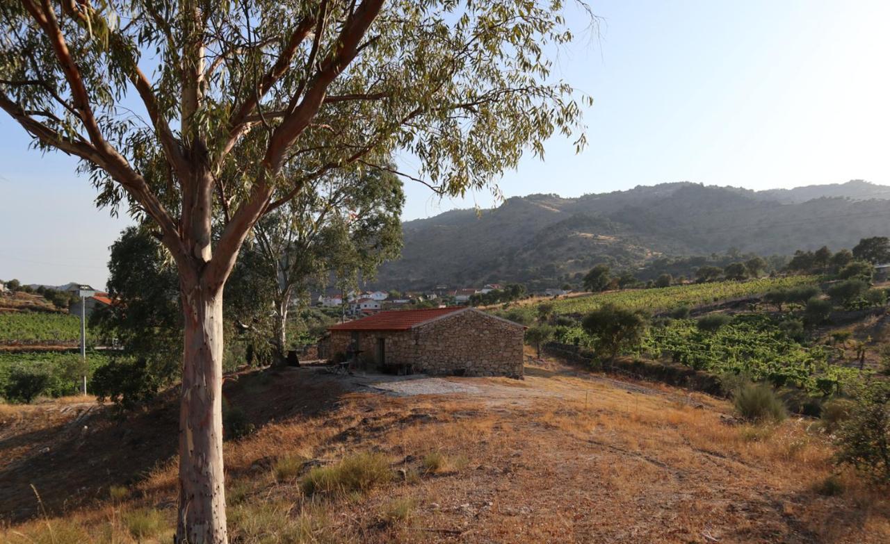 הוילה טורה דה מונקורבו Quinta De Gandarem מראה חיצוני תמונה